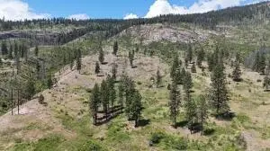 35000 Hwy 20 Hwy, Kettle Falls, WA 99141 - #3