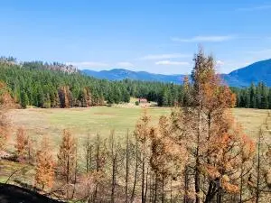 34XX Northport Flat Creek Rd, Kettle Falls, WA 99141 - #2