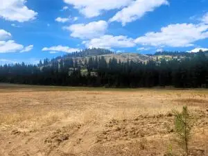 34XX Northport Flat Creek Rd, Kettle Falls, WA 99141 - #3