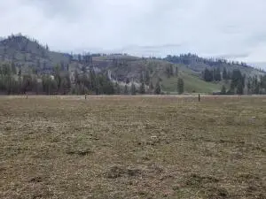 34XX Northport Flat Creek Rd, KETTLE FALLS, WA 99141