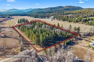 2957 Burnt Valley (9.79ac) Rd, CHEWELAH, WA 99109