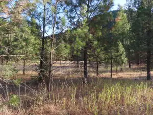 111 Toroda Creek Rd, Curlew, WA 99118 - #2