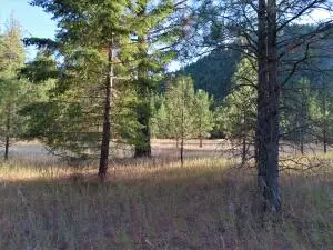 111 Toroda Creek Rd, Curlew, WA 99118 - #3