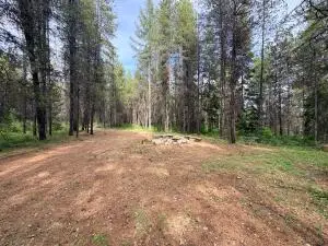 TBD Schlegel Ranch Rd, Ione, WA 99139 - #1