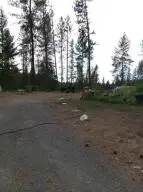 346 Old Dominion Rd, Colville, WA 99114 - #1