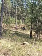 346 Old Dominion Rd, Colville, WA 99114 - #2