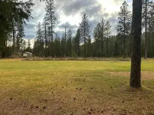 LOT 27 Palmer Ln, Chewelah, WA 99109 - #2