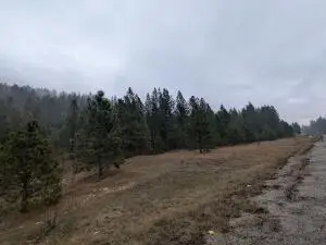 1525 Highway 395 S, Chewelah, WA 99109 - #3