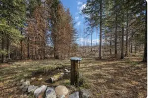 2433B Widow Rd, COLVILLE, WA 99114