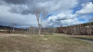 2433B Widow Rd, Colville, WA 99114 - #3