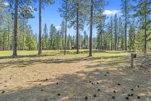 XXX Couples Ct, Chewelah, WA 99109 - #3