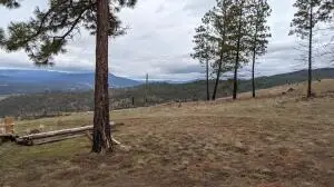 1021 Westover Rd, Colville, WA 99114 - #2