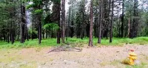 4XX Couples Pl, Chewelah, WA 99109 - #2