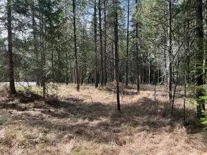 4XX Couples Pl, Chewelah, WA 99109 - #3