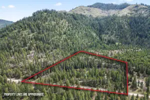 4166 Grouse Creek Rd., Loon Lake, WA 99148 - #3