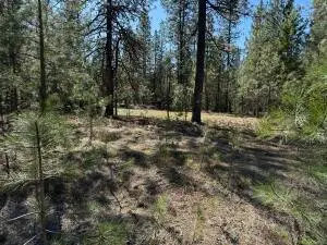 LOT 21 Couples Ct, Chewelah, WA 99109 - #2
