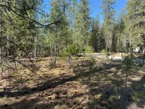 LOT 21 Couples Ct, Chewelah, WA 99109 - #3
