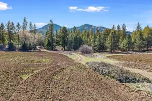 2068 Addy-gifford Rd, Addy, WA 99101 - #3