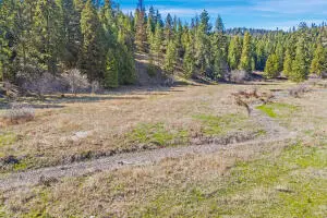 TBD Pierre Lake Rd, Kettle Falls, WA 99141 - #3