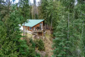 1212 Morning Star Mountain Rd, Ione, WA 99139 - #1