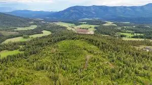 25XX Burgess Rd, Addy, WA 99101 - #2