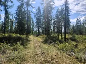 3669 E Jumpoff Rd, Valley, WA 99181 - #2