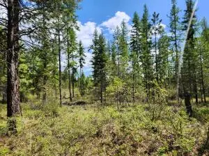 3669 E Jumpoff Rd, Valley, WA 99181 - #3