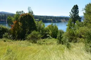 2356 Northport Flat Creek Rd, Kettle Falls, WA 99141 - #2