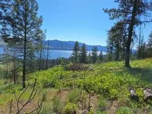 TBD Inchelium Hwy, Kettle Falls, WA 99141 - #1