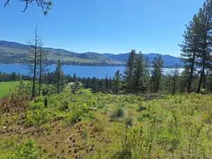 TBD Inchelium Hwy, Kettle Falls, WA 99141 - #2