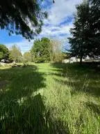 31X E 5th Ave, Kettle Falls, WA 99141 - #1