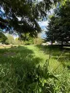 31X E 5th Ave, Kettle Falls, WA 99141 - #2