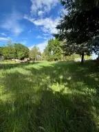 31X E 5th Ave, Kettle Falls, WA 99141 - #3