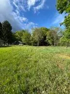 3XX E 5th Ave, Kettle Falls, WA 99141 - #2