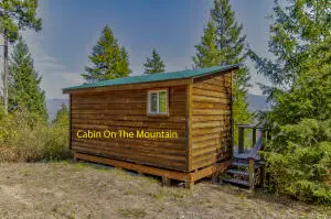 3800 BLK Deep Lake Boundary Rd, Colville, WA 99114 - #2