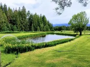 2551 Flowery Trail Rd, Chewelah, WA 99109 - #2