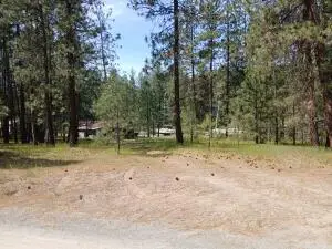 1393 C Old Kettle Rd, Kettle Falls, WA 99141 - #2