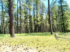 3406 Beitey Rd, Valley, WA 99181 - #2