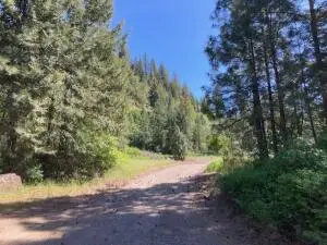 2051 Wa-25, KETTLE FALLS, WA 99141