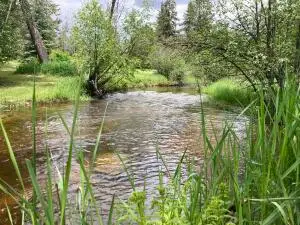 1496 E Hwy 20 Xx, COLVILLE, WA 99114