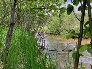 1496 E Hwy 20 Xx, Colville, WA 99114 - #2