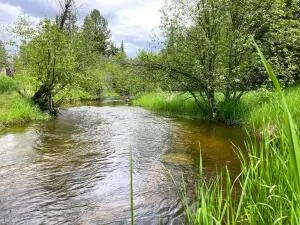 1496 E Hwy 20 Xx, Colville, WA 99114 - #3