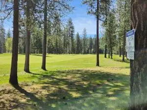 LOT 4 Couples Ct, Chewelah, WA 99109 - #2