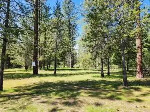 LOT 4 Couples Ct, Chewelah, WA 99109 - #3