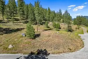 715 Palmer Ln, CHEWELAH, WA 99109