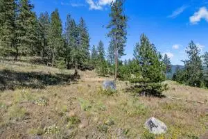 715 Palmer Ln, Chewelah, WA 99109 - #2