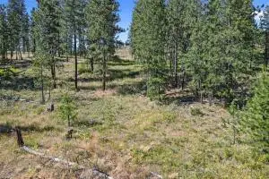 715 Palmer Ln, Chewelah, WA 99109 - #3