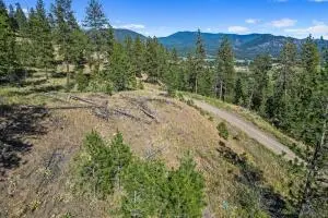 721 Palmer Ln, CHEWELAH, WA 99109