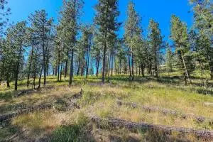 721 Palmer Ln, Chewelah, WA 99109 - #2