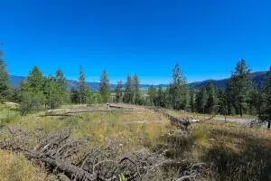 721 Palmer Ln, Chewelah, WA 99109 - #3